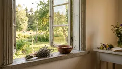 Muggen en muggen zullen je niet langer bijten of je huis binnenvliegen. Een eenvoudige truc die iedereen zou moeten kennen